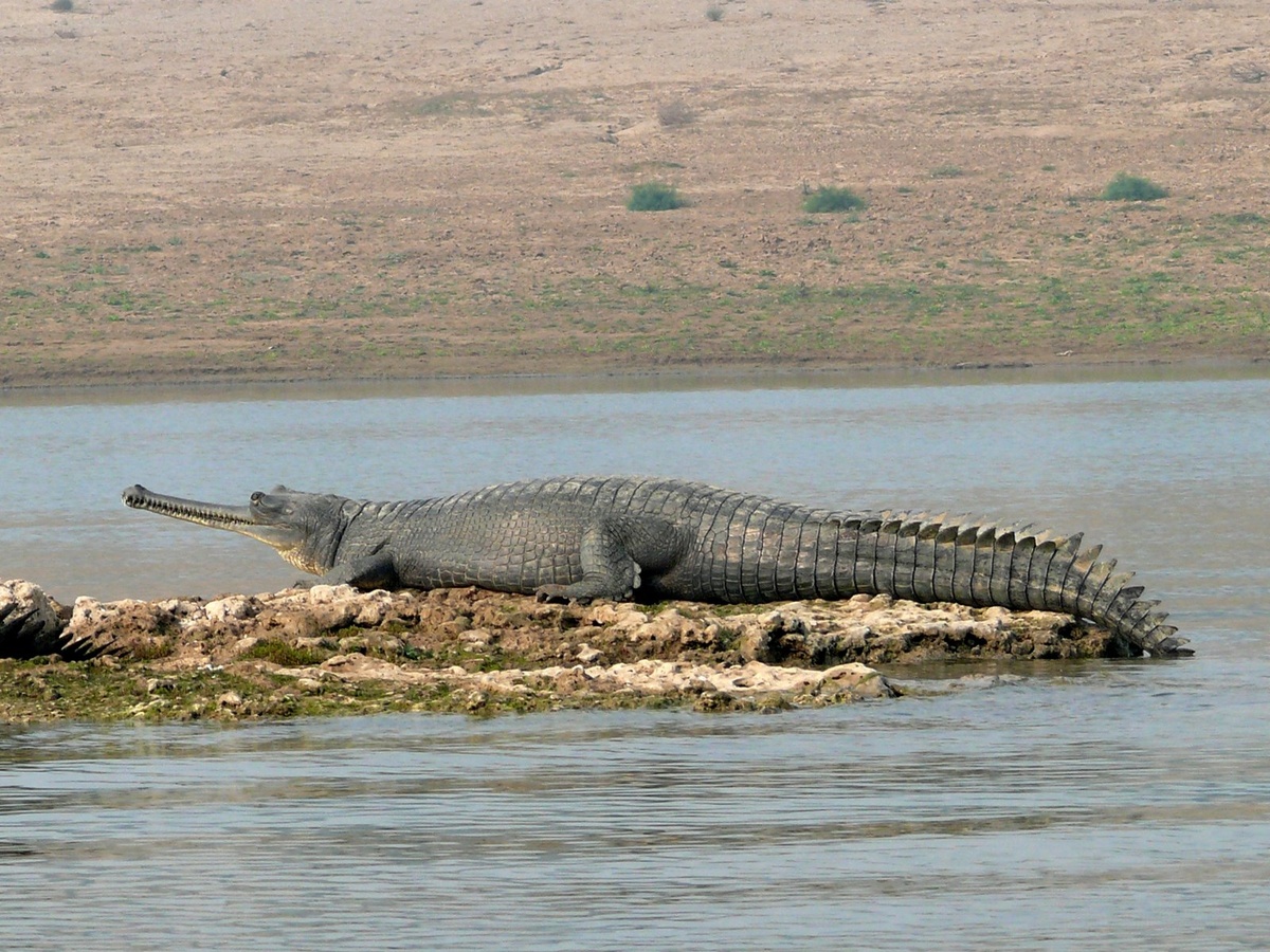Marine National Park